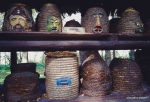 Remeslá, ktoré sa zachovali dodnes - Brtníctvo a včelárstvo