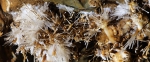 Ochtinská aragonitová jaskyňa - jedna zo štyroch svojho druhu na svete