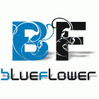 Grafické štúdio Blue Flower